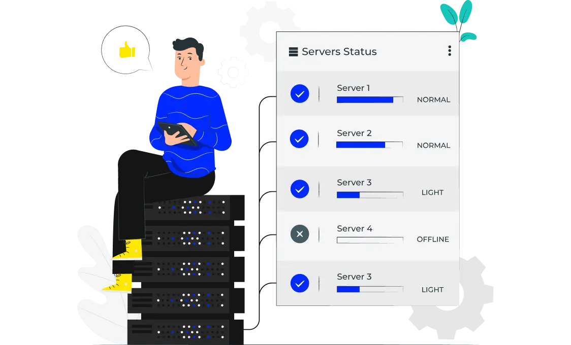 Hosting and Maintenance Step of the Services